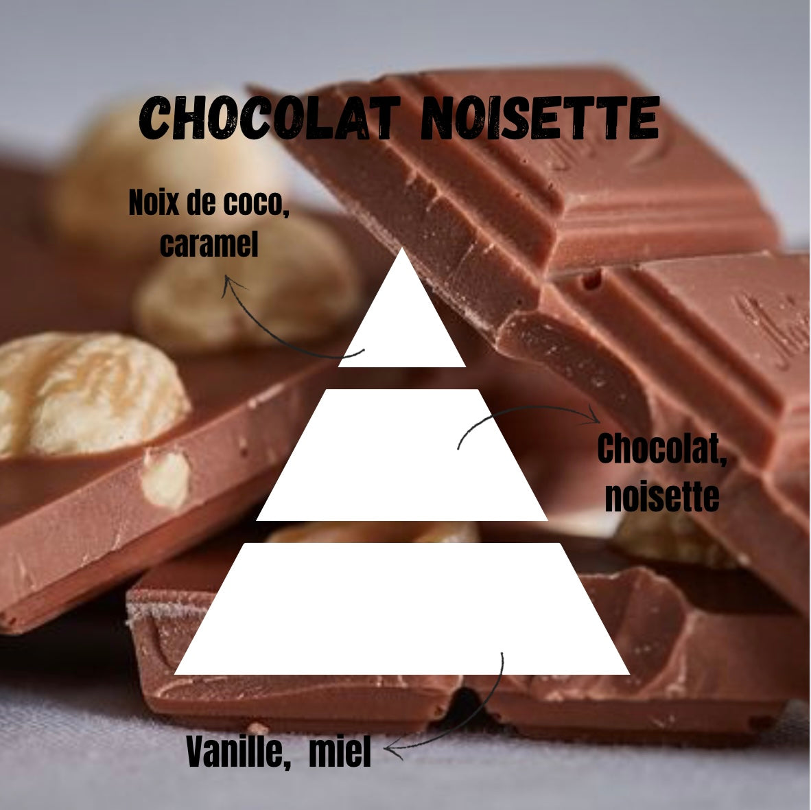Snapbar Chocolat noisettes