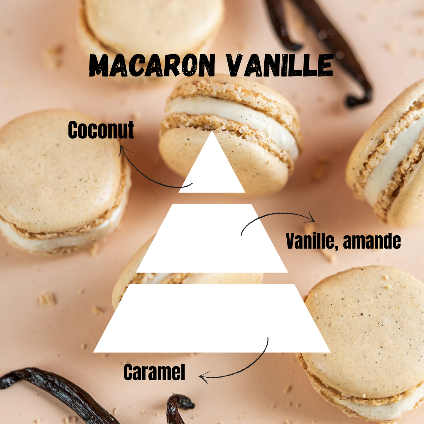 Patte de chat Macaron Vanille