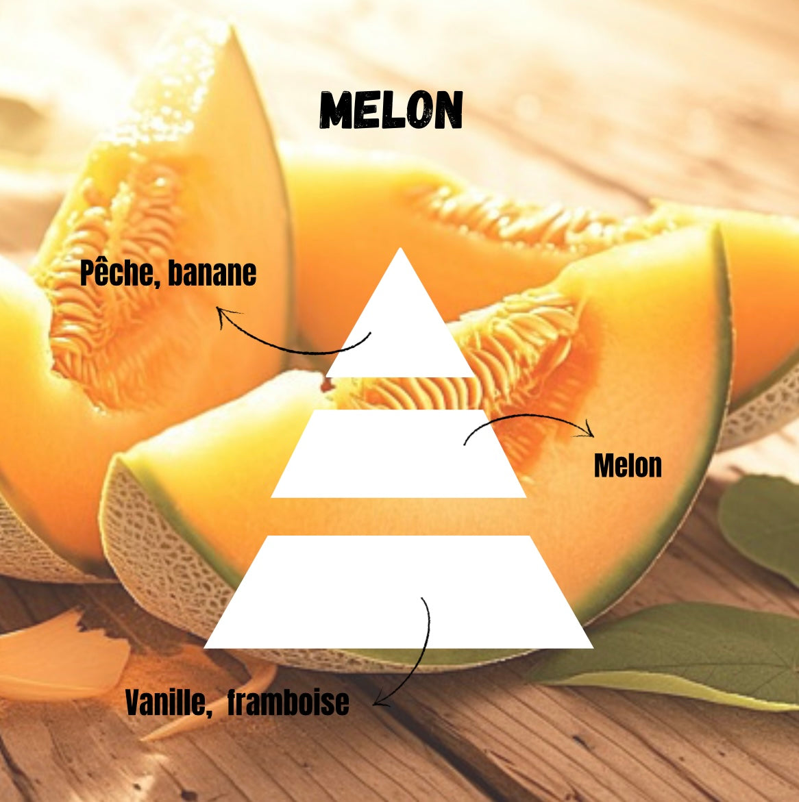 Patte de chat Melon