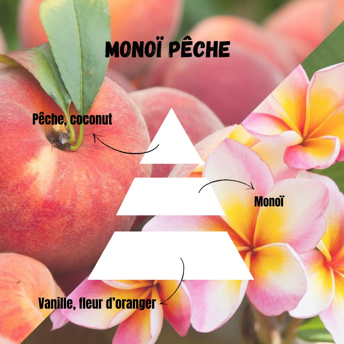 Snapbar Monoï pêche