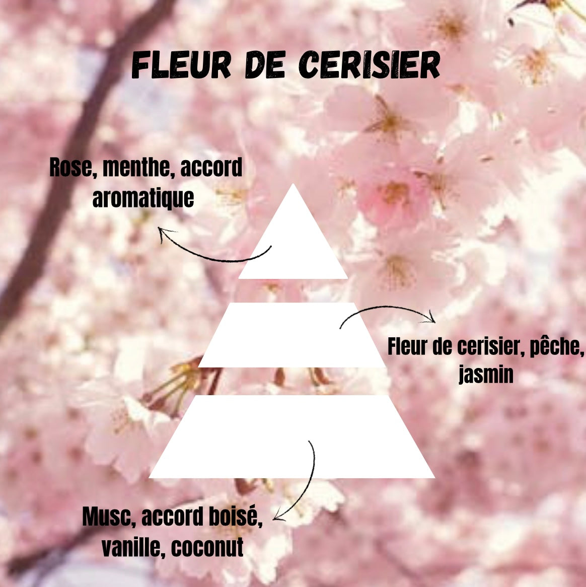 Patte de chat Fleur de cerisier