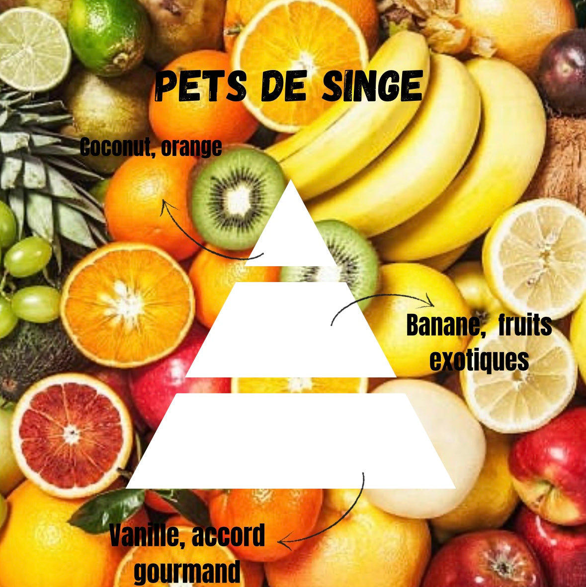 Sachet Pets de singe 90g
