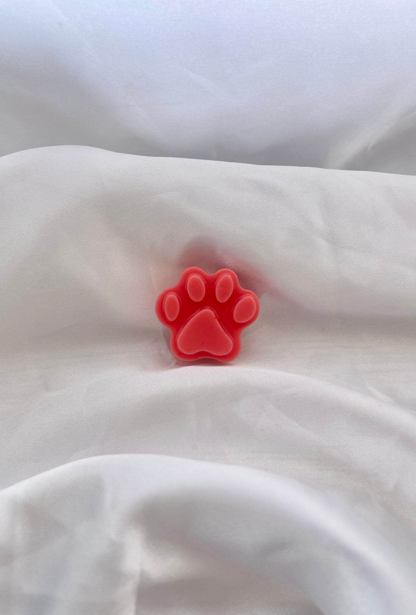 Patte de chat Pomme d’amour