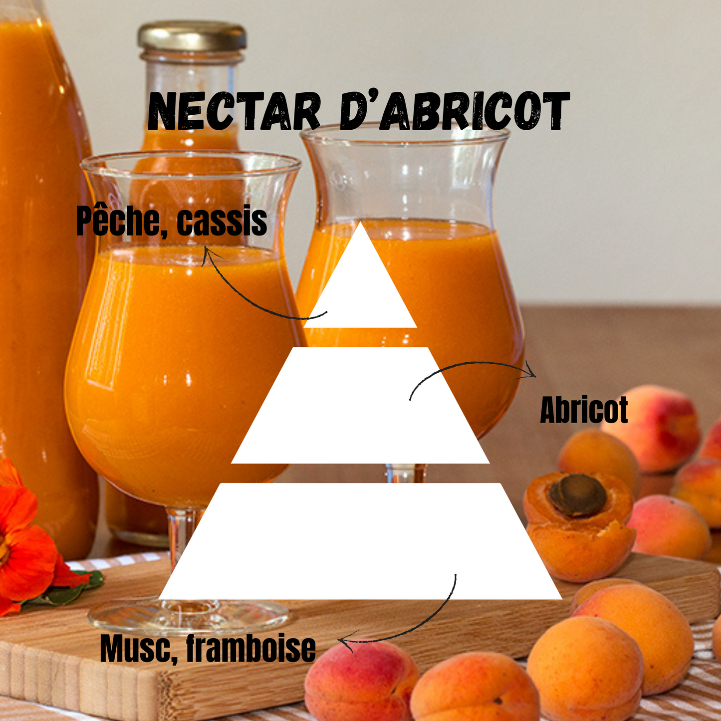 Patte de chat Nectar d’abricot