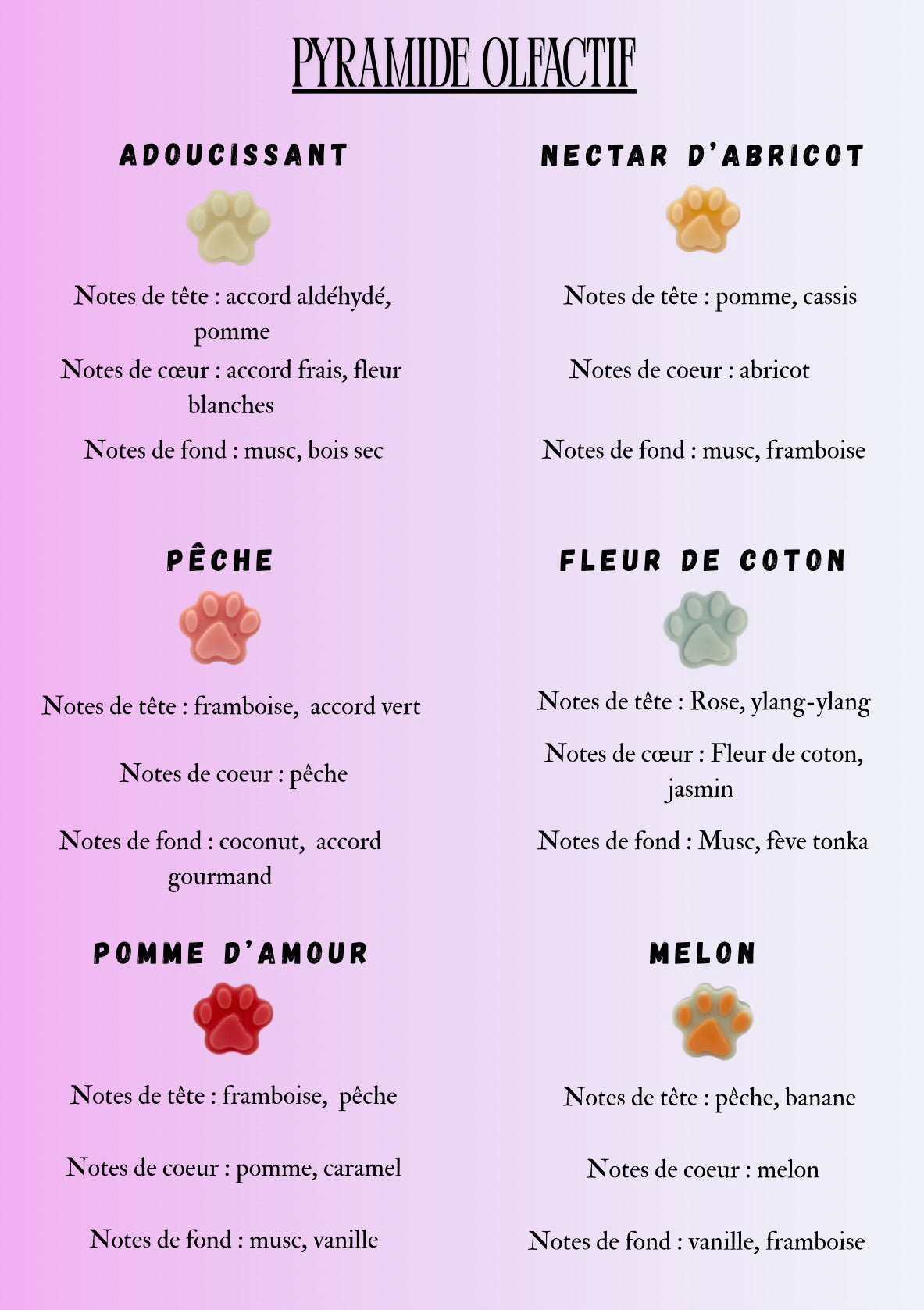 Coffret 6 fondants