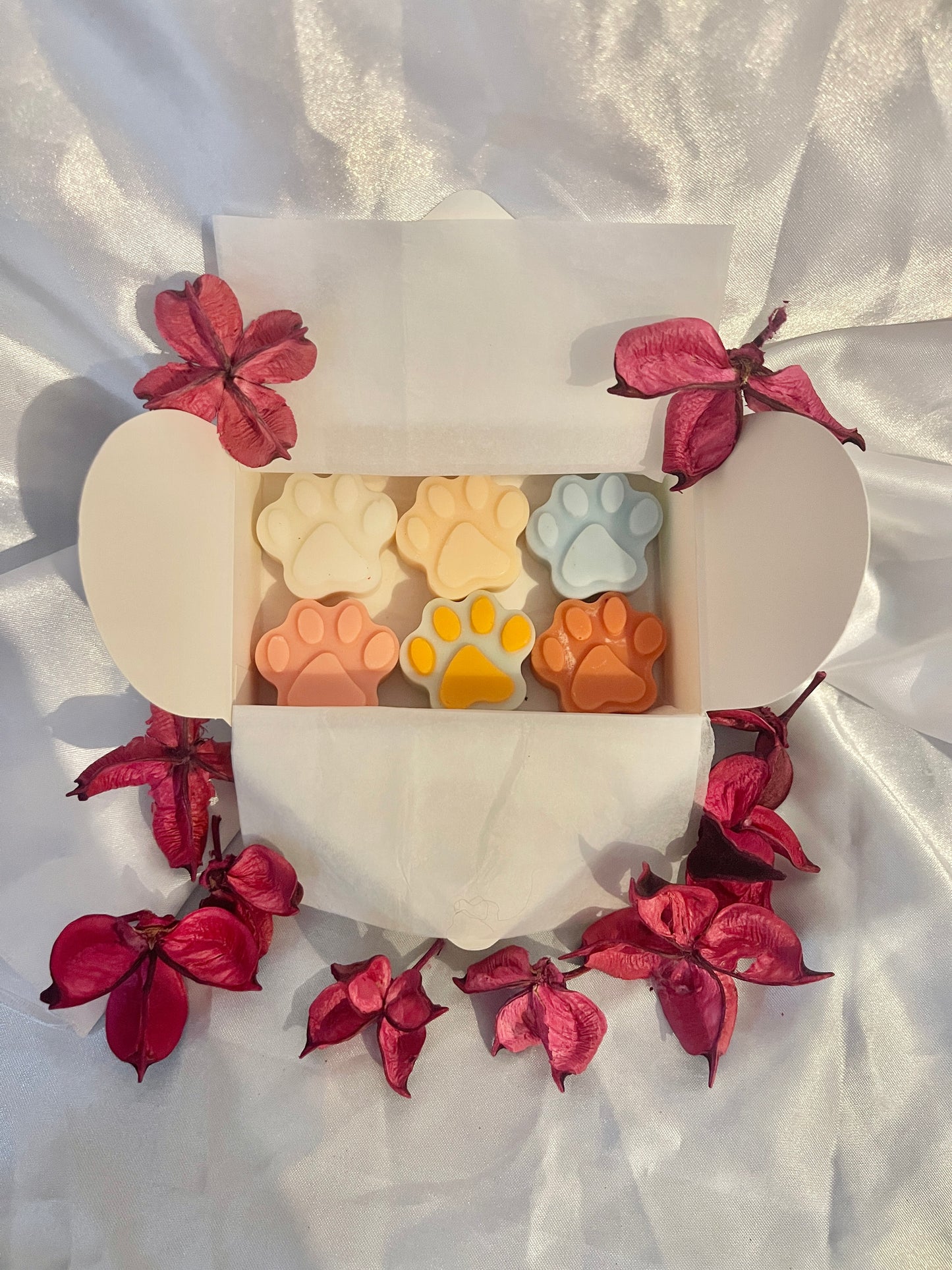 Coffret 6 fondants