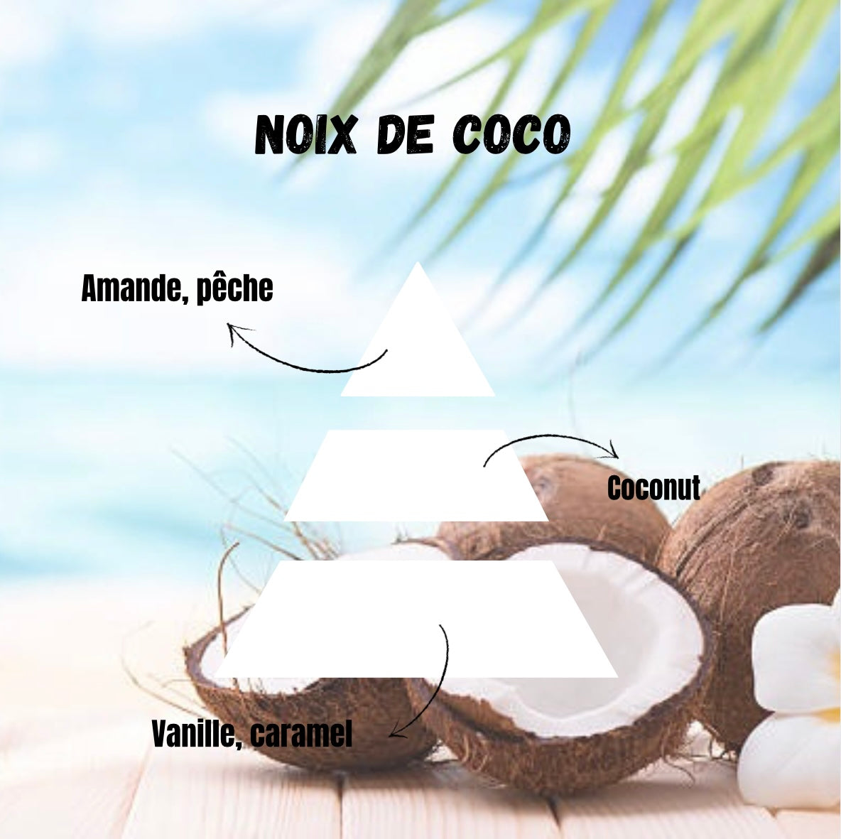 Snapbar Noix de coco