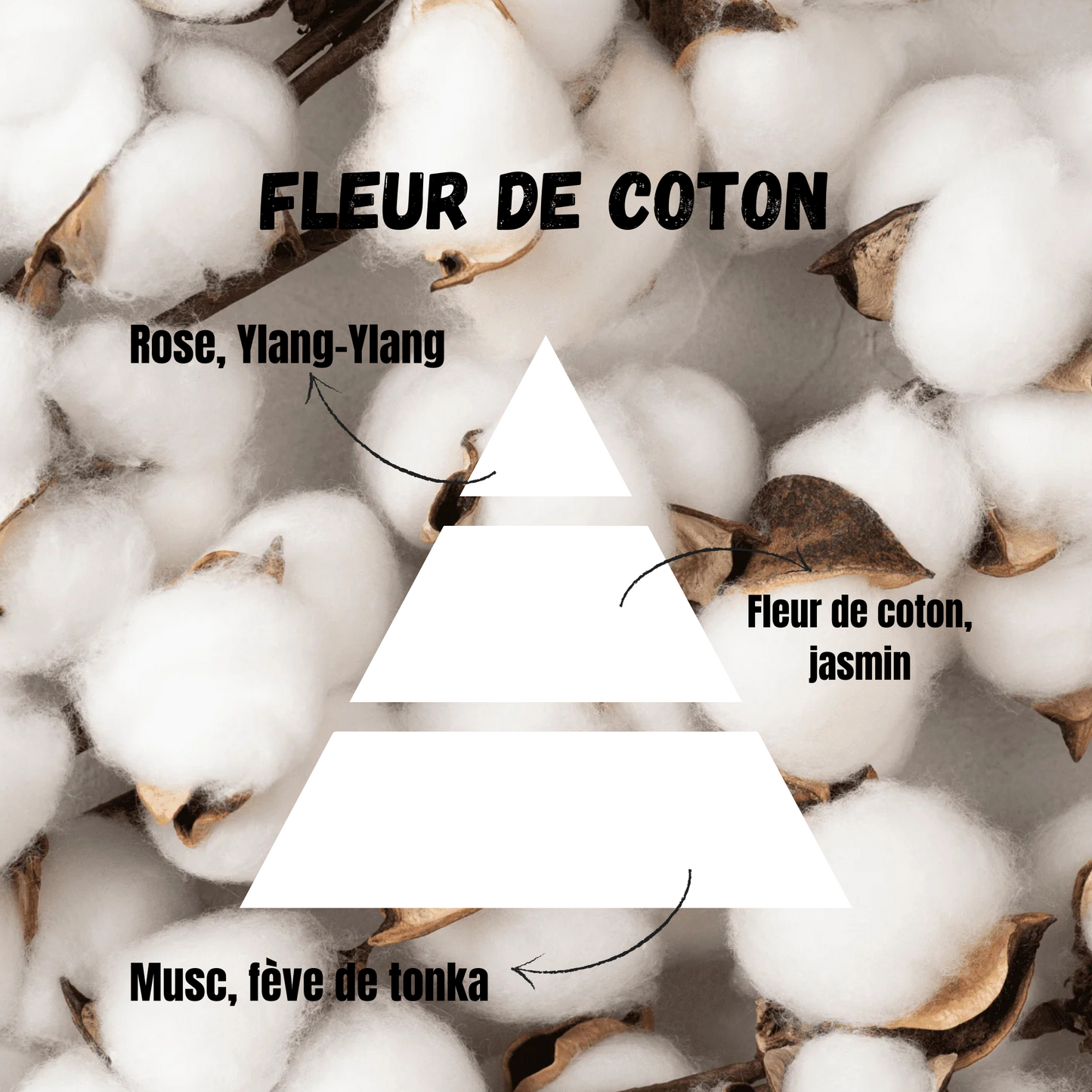 Patte de chat Fleur de coton