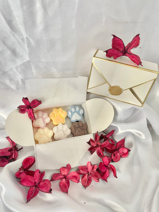 Coffret découverte