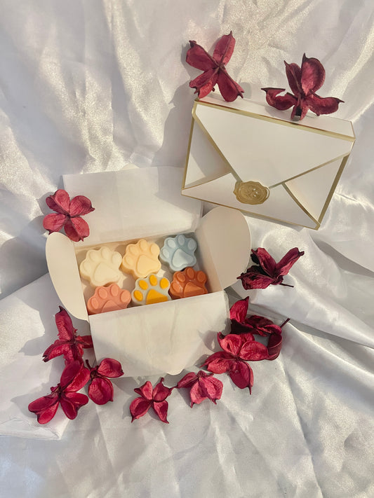 Coffret 6 fondants