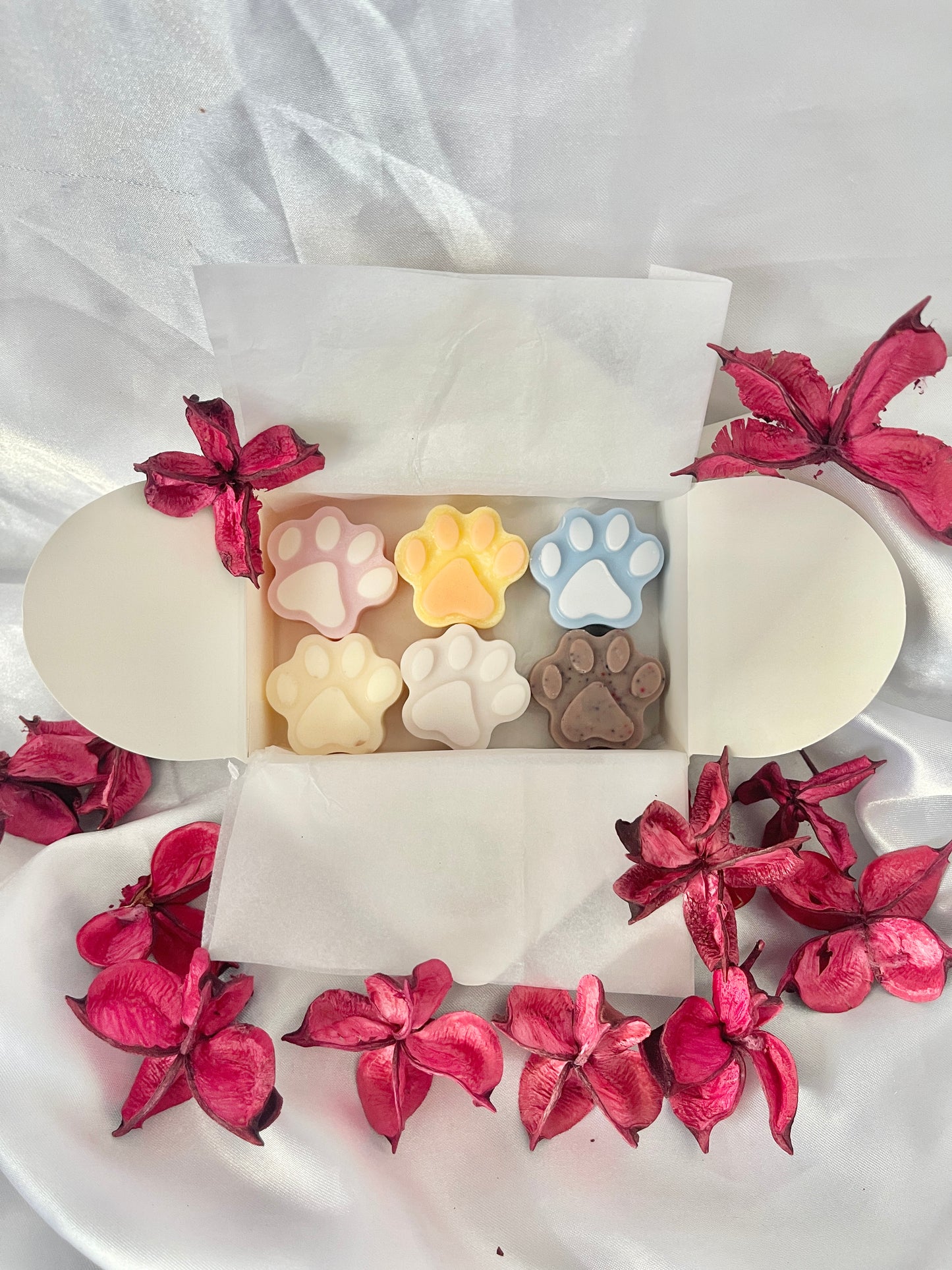 Coffret découverte