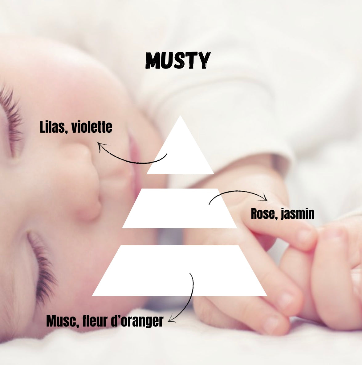 Snapbar Musty (mustela)